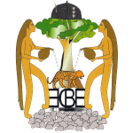 Logo de Léopards Douala